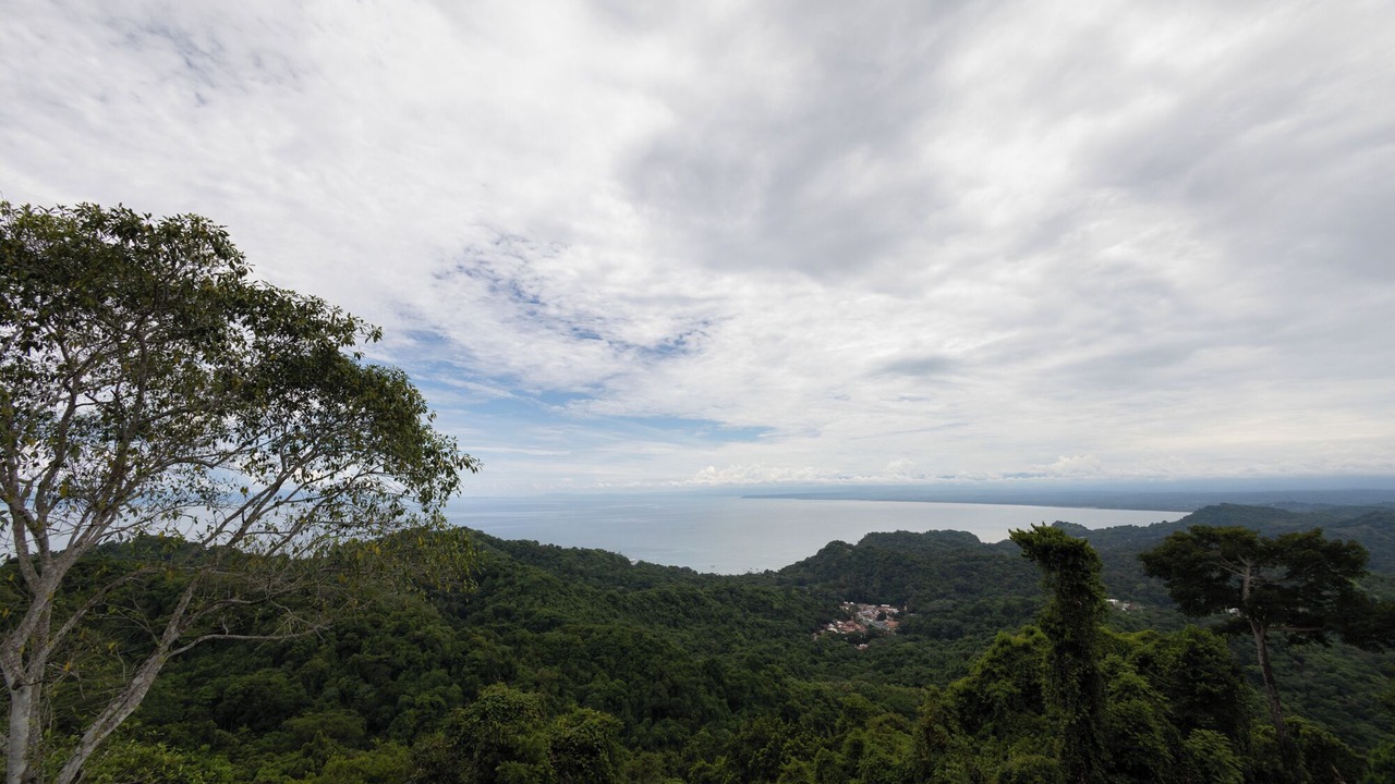 Photo of Others in Jaco