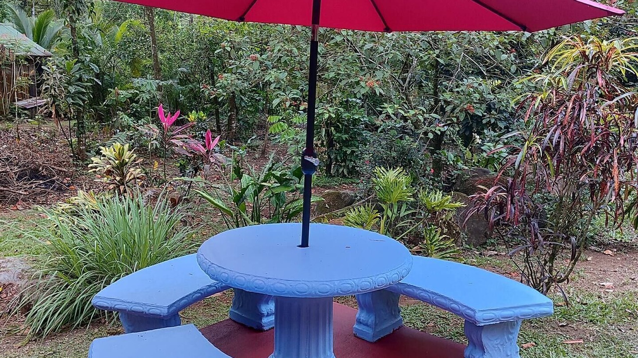 Photo of Outdoor in Chachagua