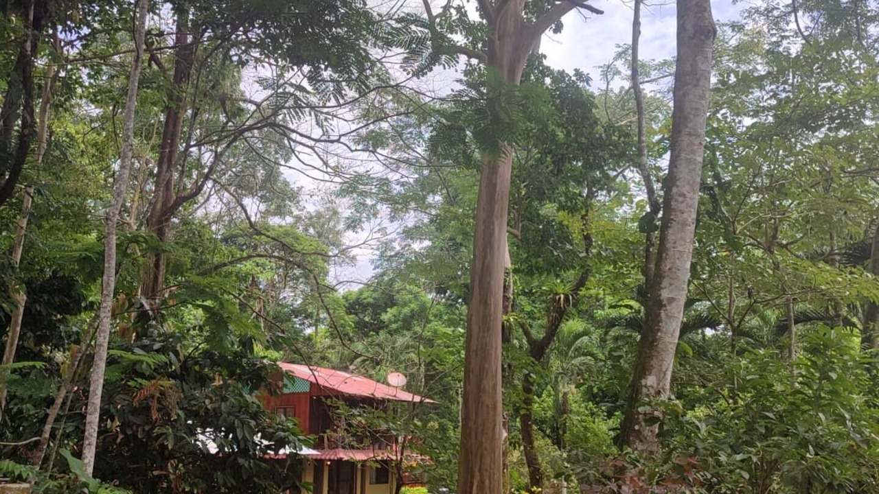 Photo of Outdoor in Chachagua