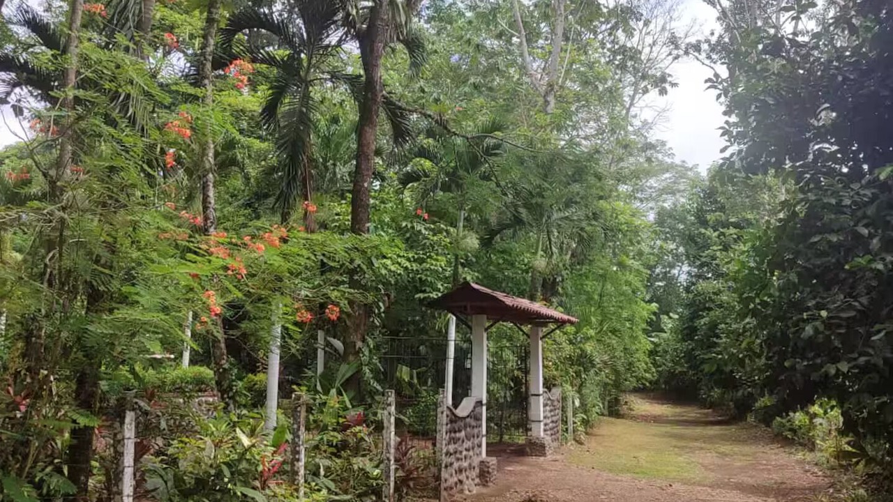 Photo of Outdoor in Chachagua