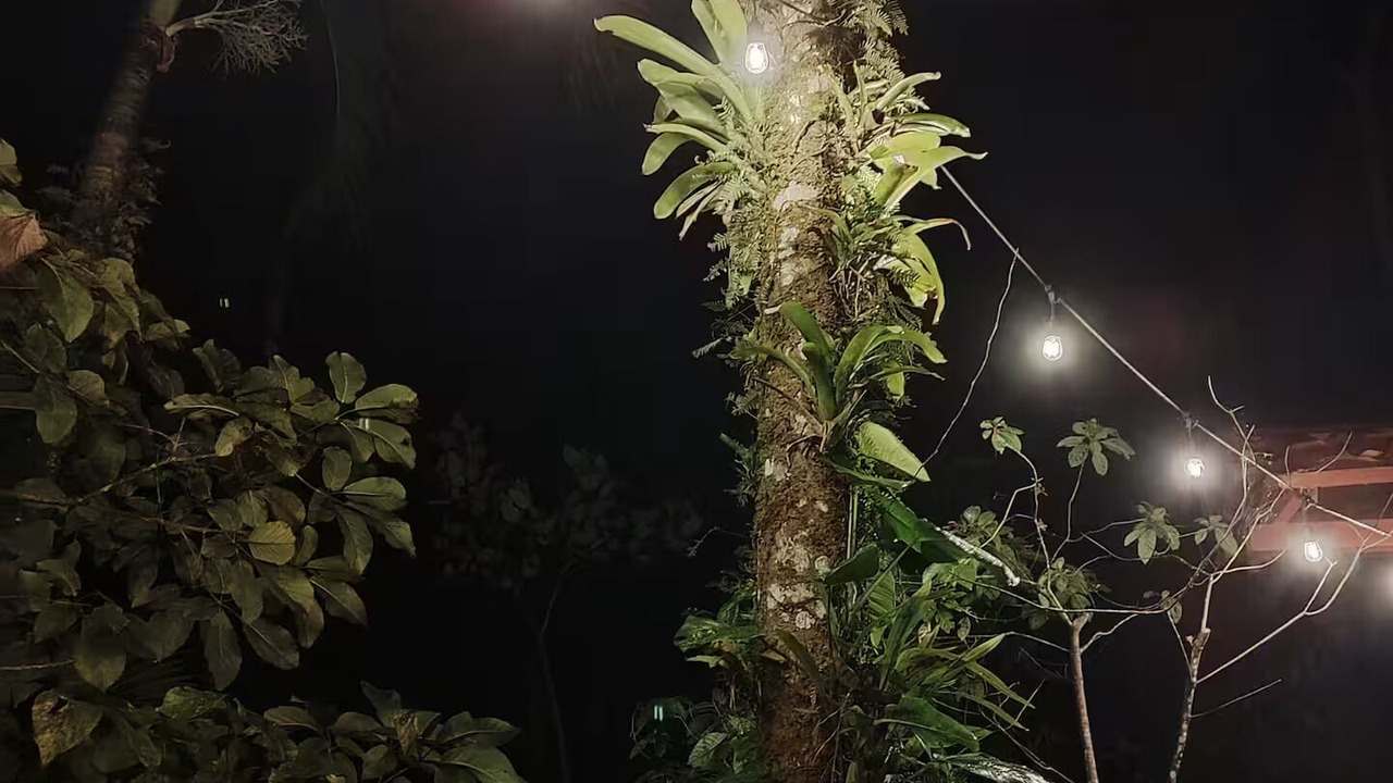 Photo of Outdoor in Chachagua