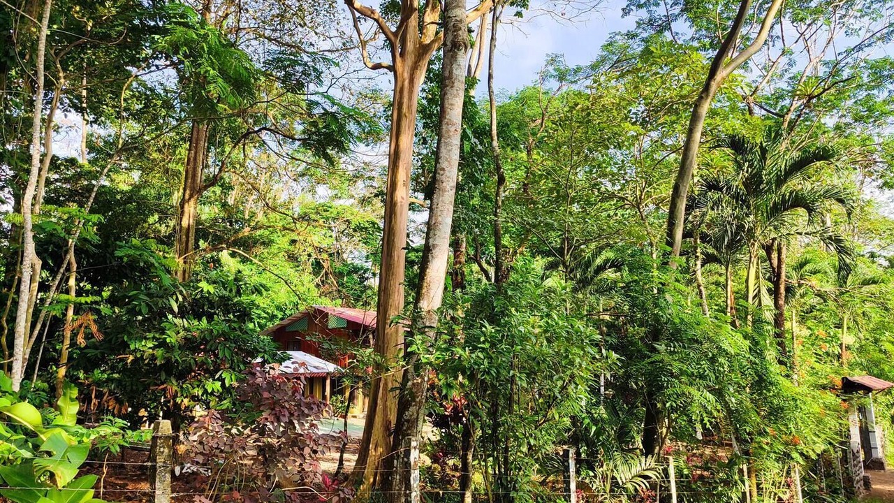 Photo of Outdoor in Chachagua