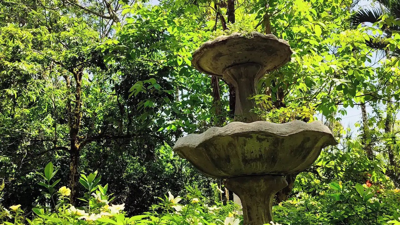 Photo of Outdoor in Chachagua