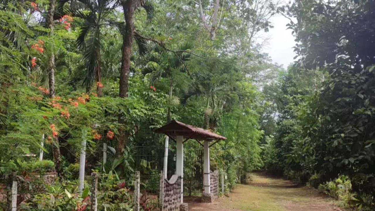 Photo of Outdoor in Chachagua