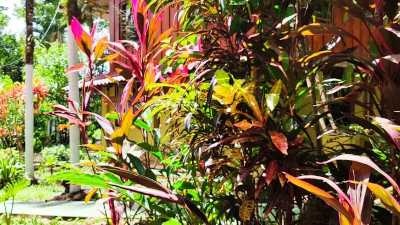 Photo of Outdoor in Chachagua