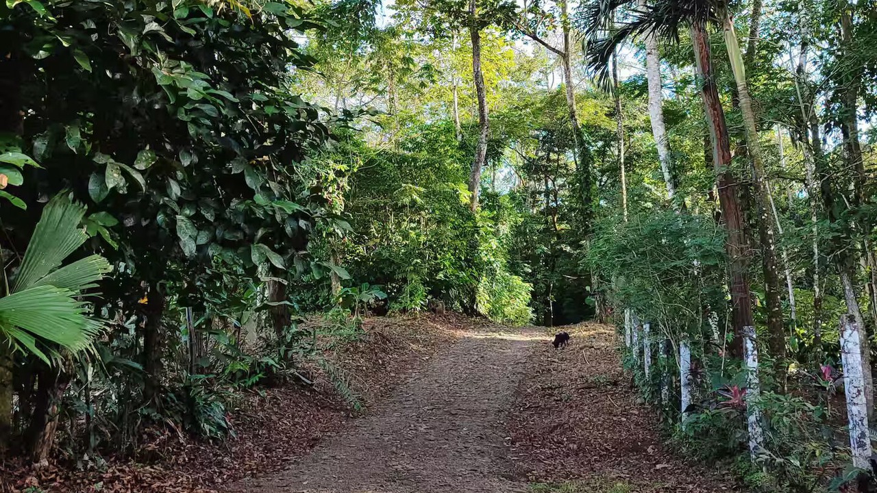 Photo of Outdoor in Chachagua