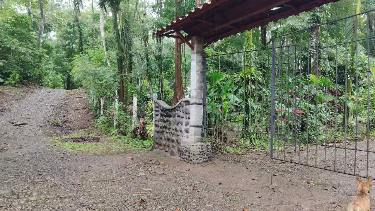 Photo of Outdoor in Chachagua