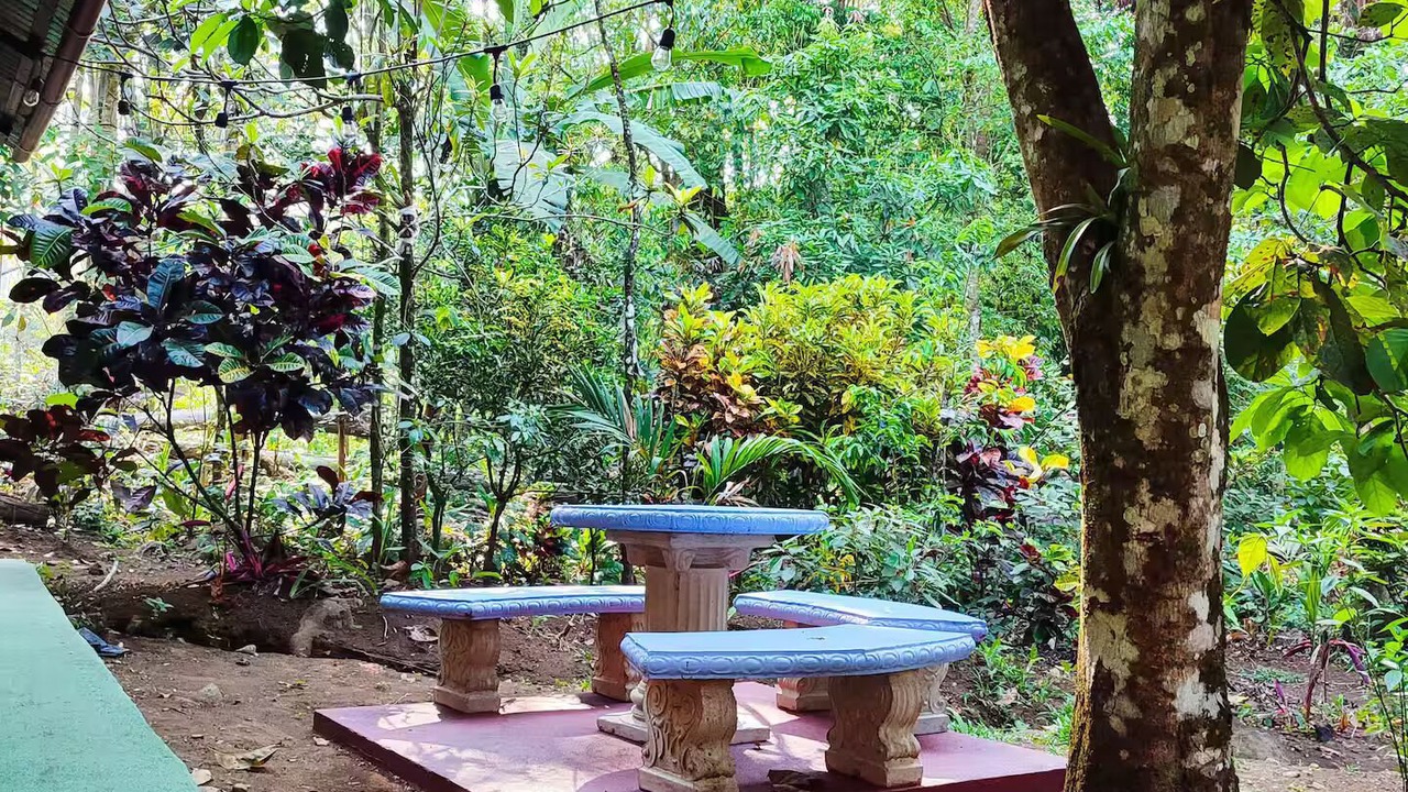 Photo of Outdoor in Chachagua