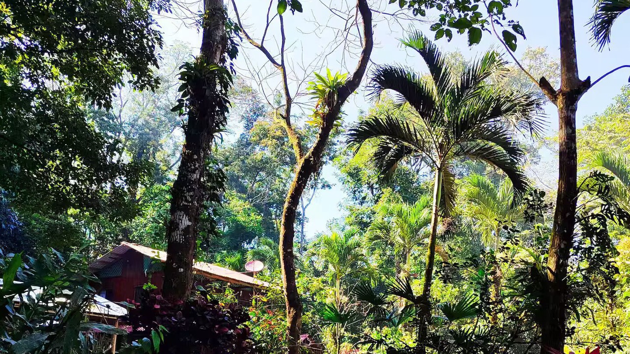 Photo of Outdoor in Chachagua