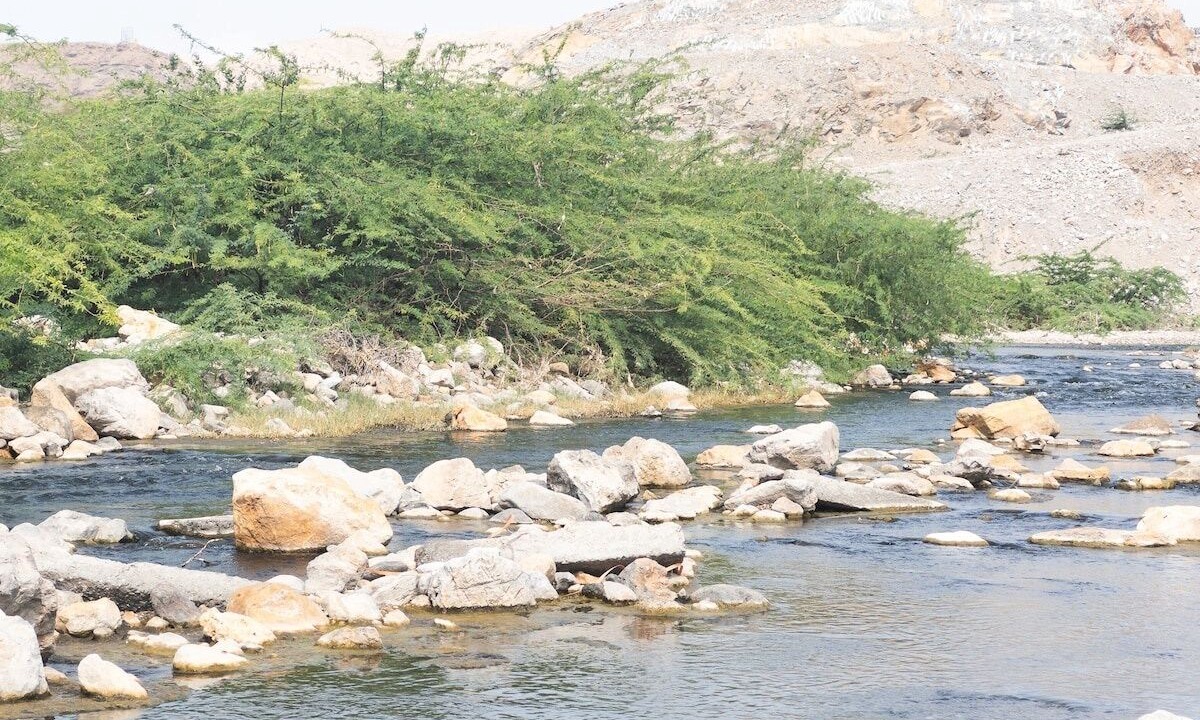 Photo of Others in Muscat