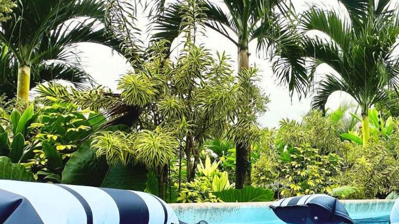 Photo of Outdoor in La Fortuna
