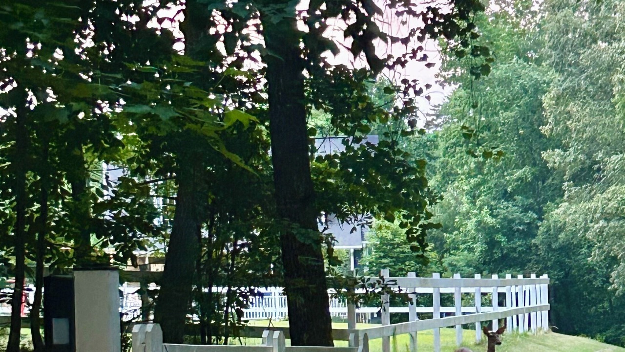 Photo of Outdoor in Conestee