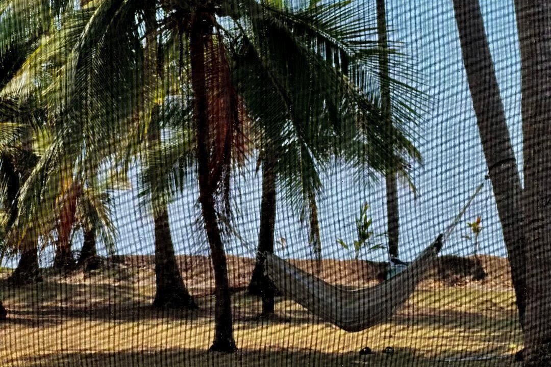 Photo of Others in Parrita