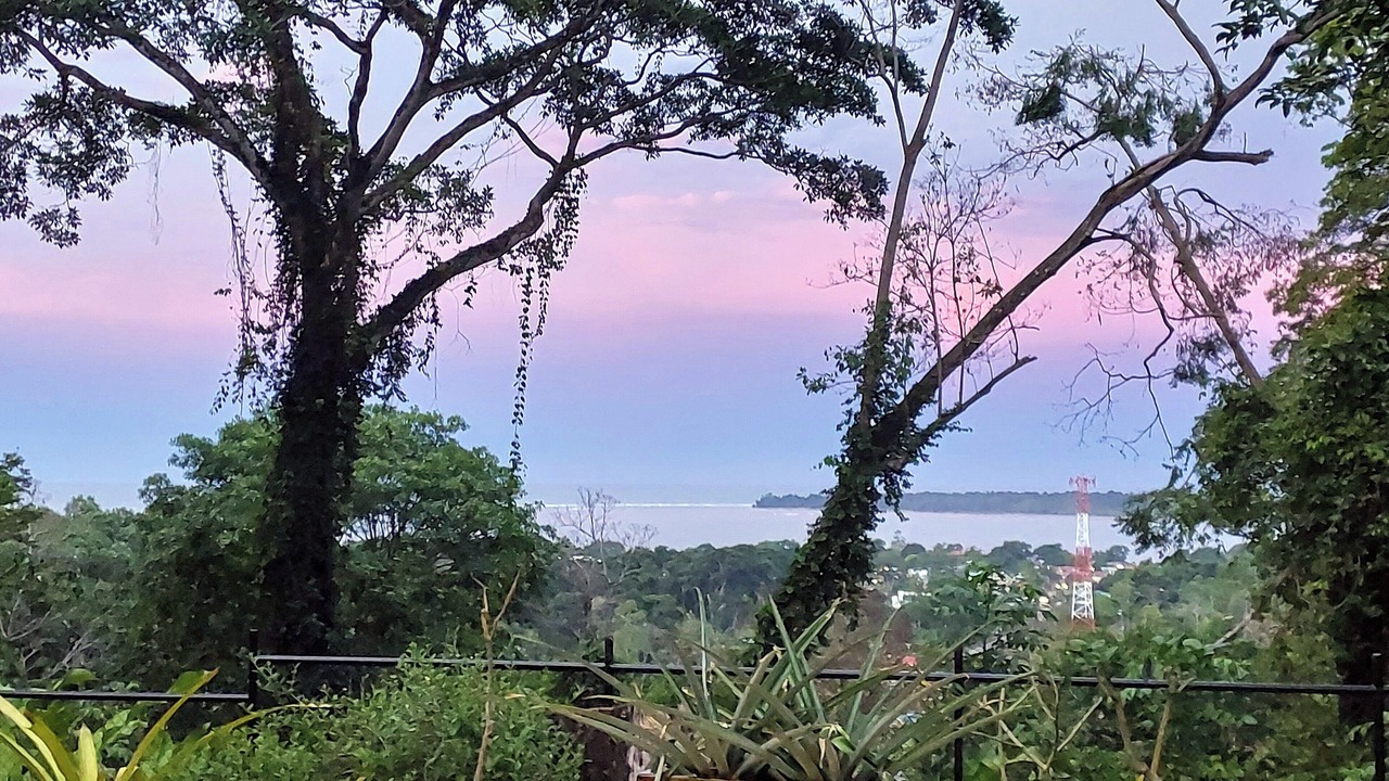 Photo of Outdoor in Cahuita