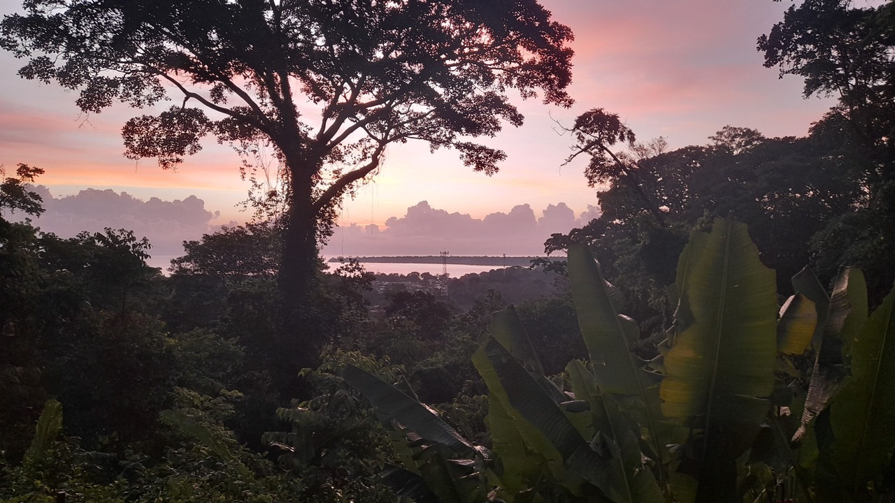 Photo of Others in Cahuita