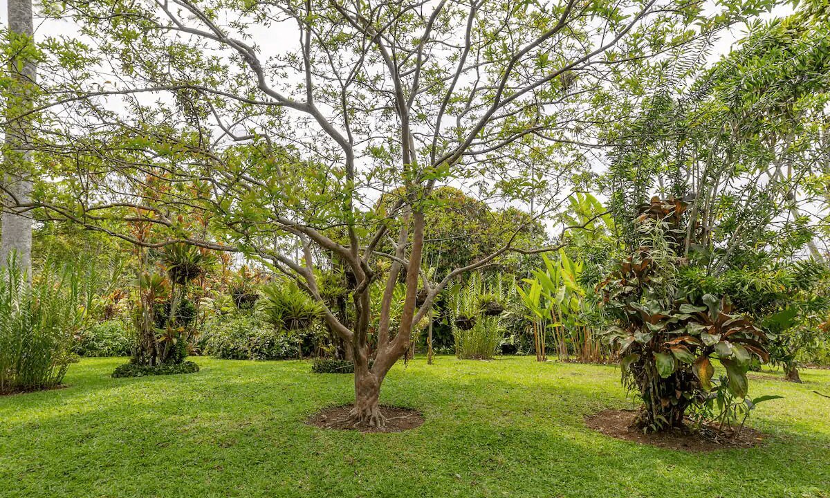 Photo of Outdoor in Turrialba
