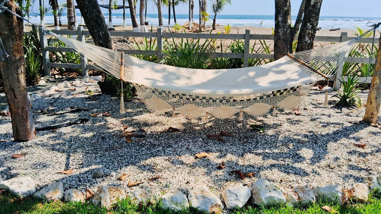 Photo of Others in Playa Coyote