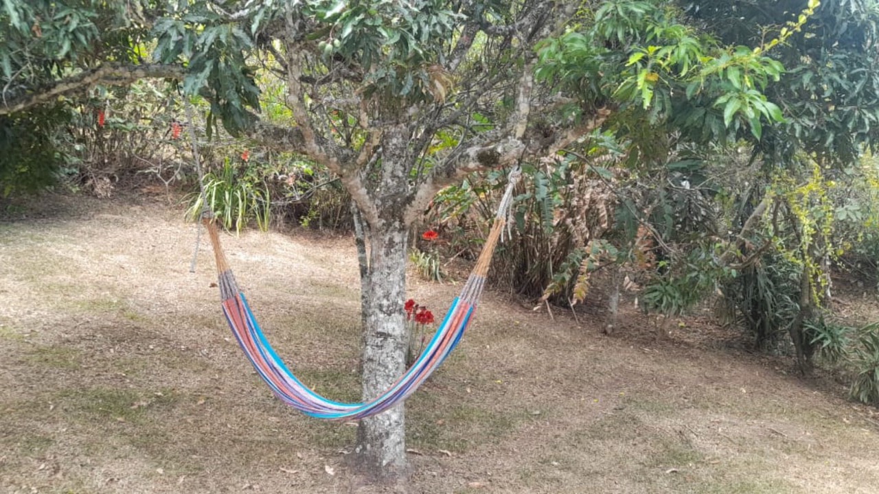 Photo of Outdoor in Aserri