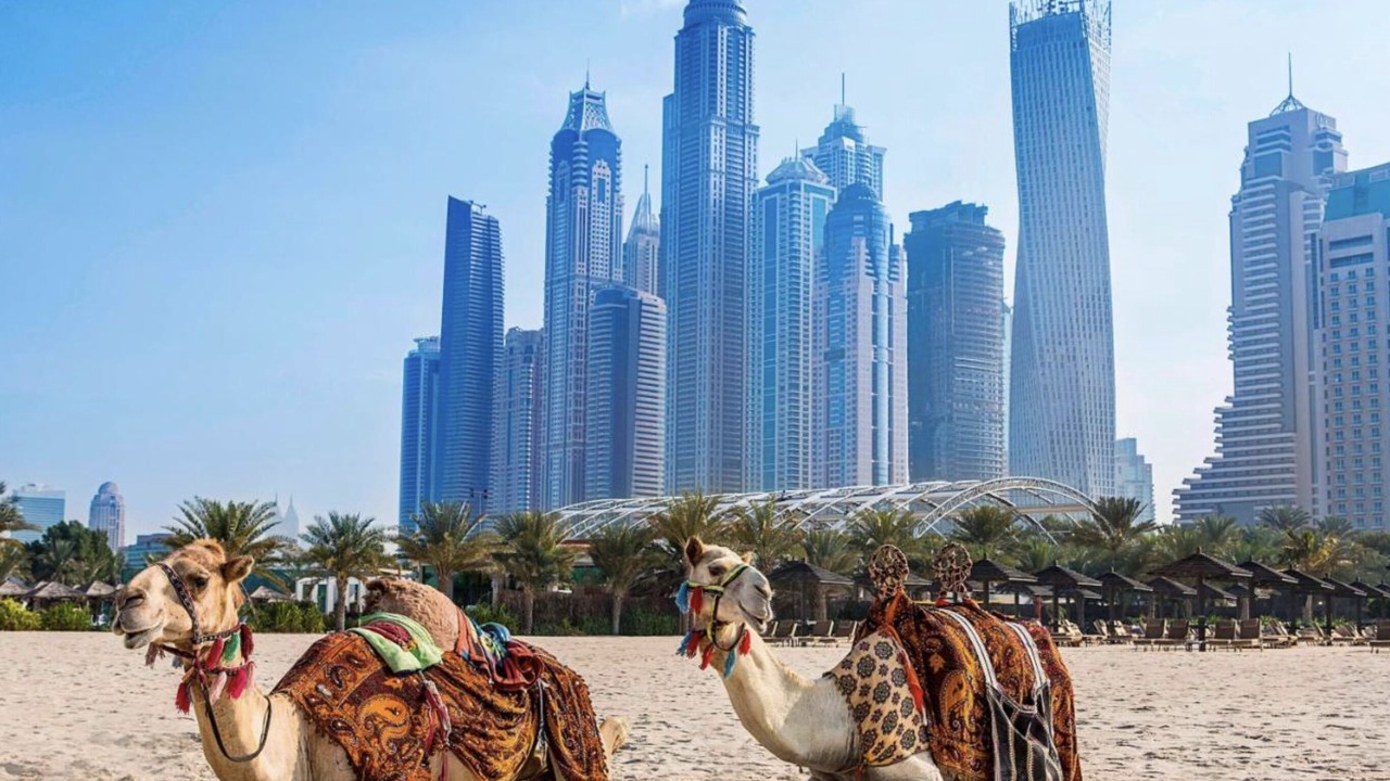 Photo of Others in Dubai Marina