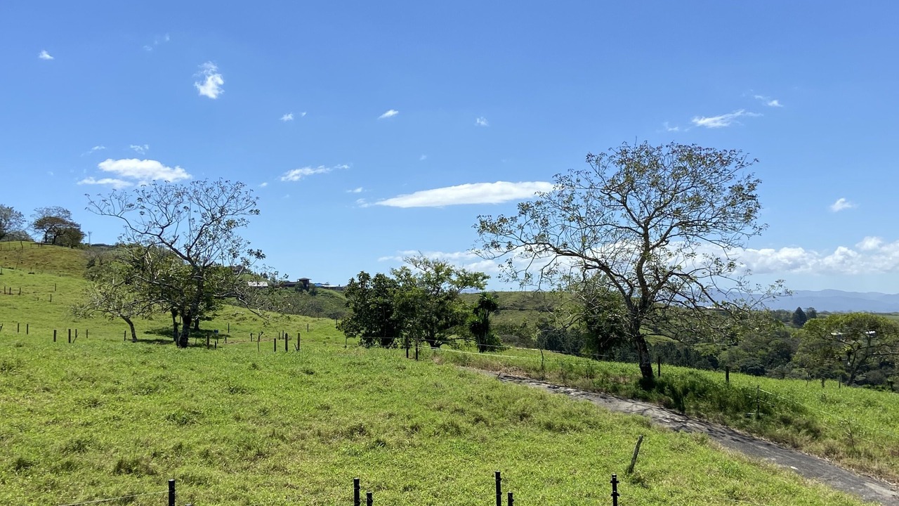 Photo of Outdoor in Quesada