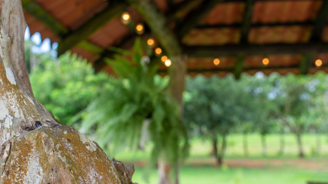 Photo of Outdoor in El Tanque