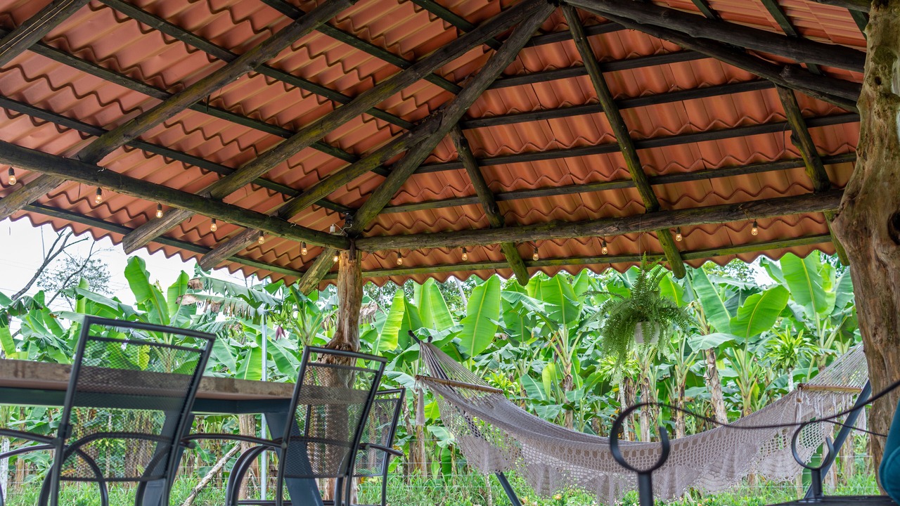 Photo of Patio Balcony in El Tanque