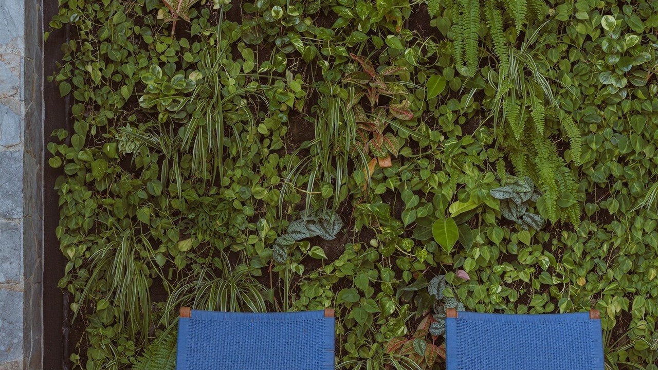 Photo of Patio Balcony in Brasilito