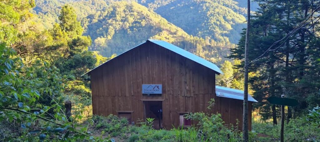 Photo of Outdoor in Rivas