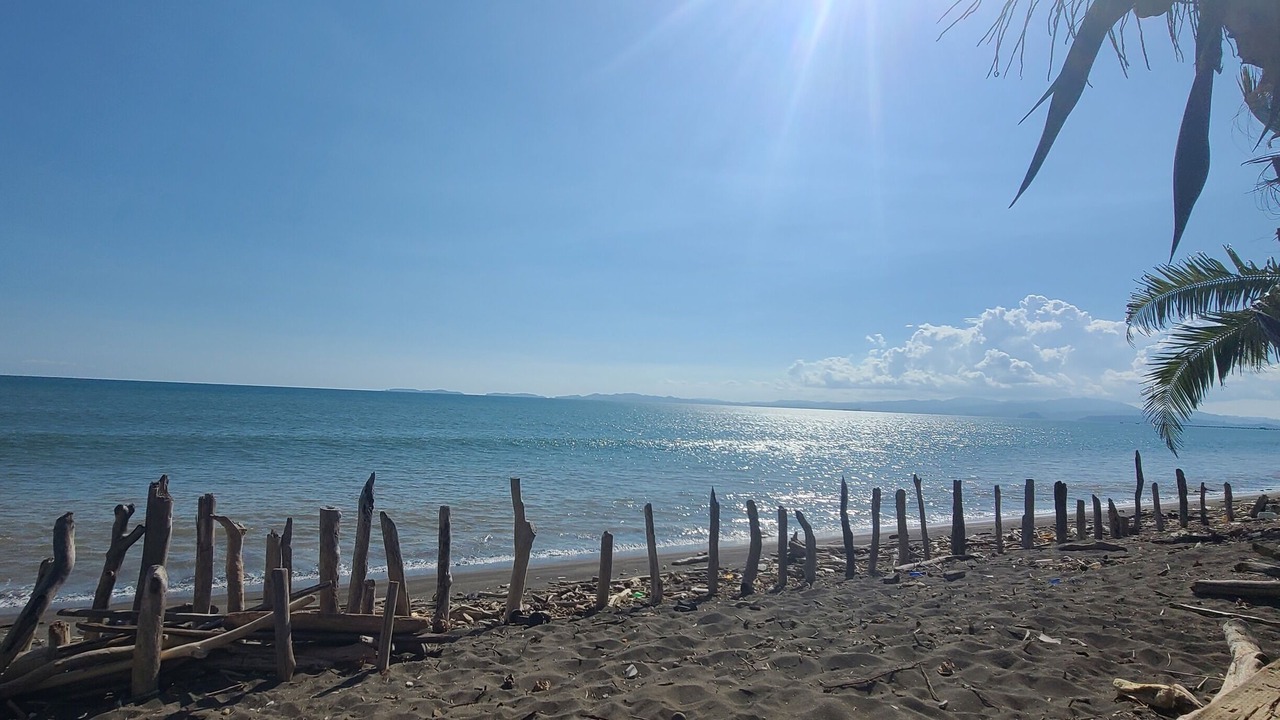 Photo of Others in Puntarenas