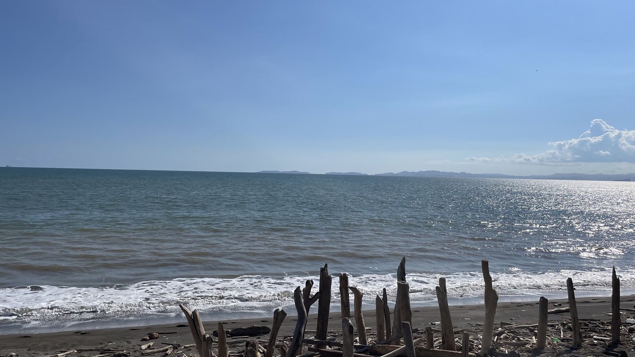 Photo of Others in Puntarenas