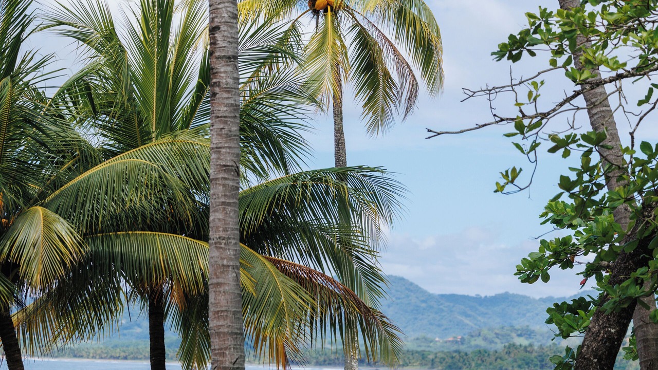 Photo of Others in Caletas