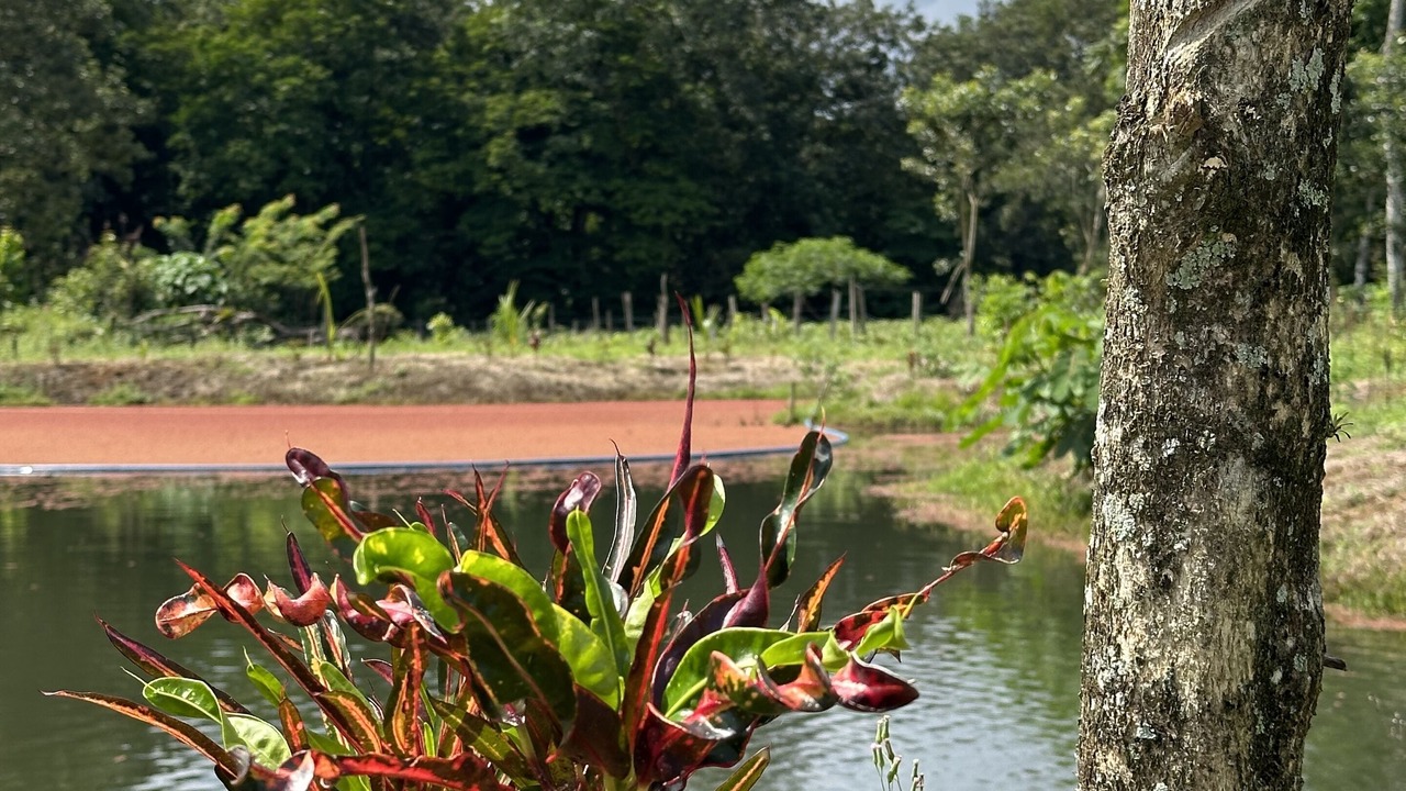 Photo of Outdoor in Penjamo