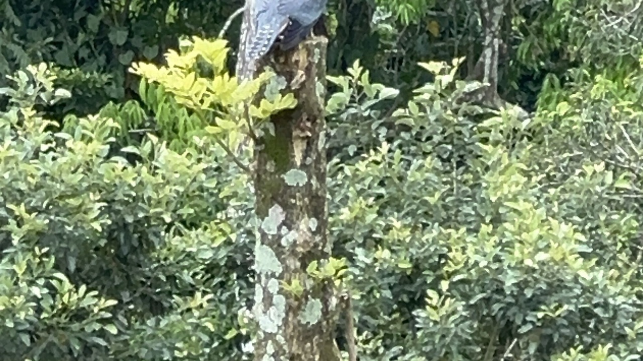 Photo of Outdoor in Penjamo