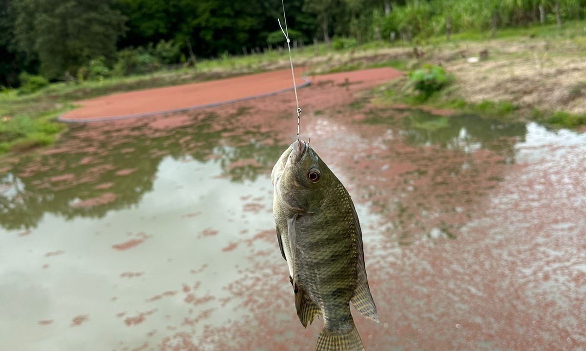 Photo of Outdoor in Penjamo