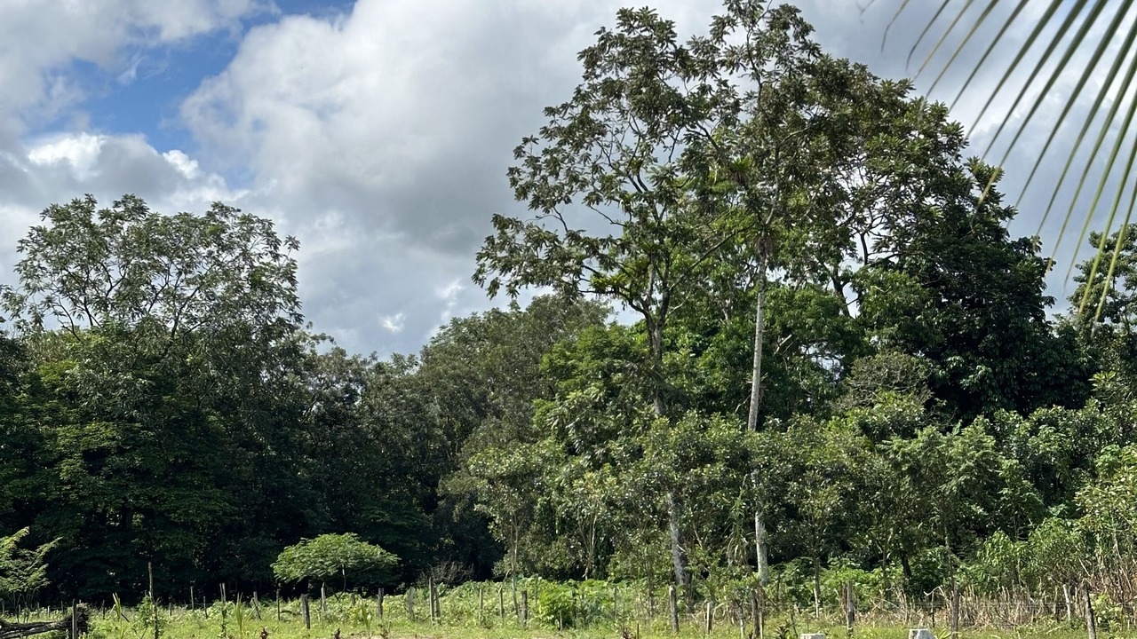 Photo of Outdoor in Penjamo