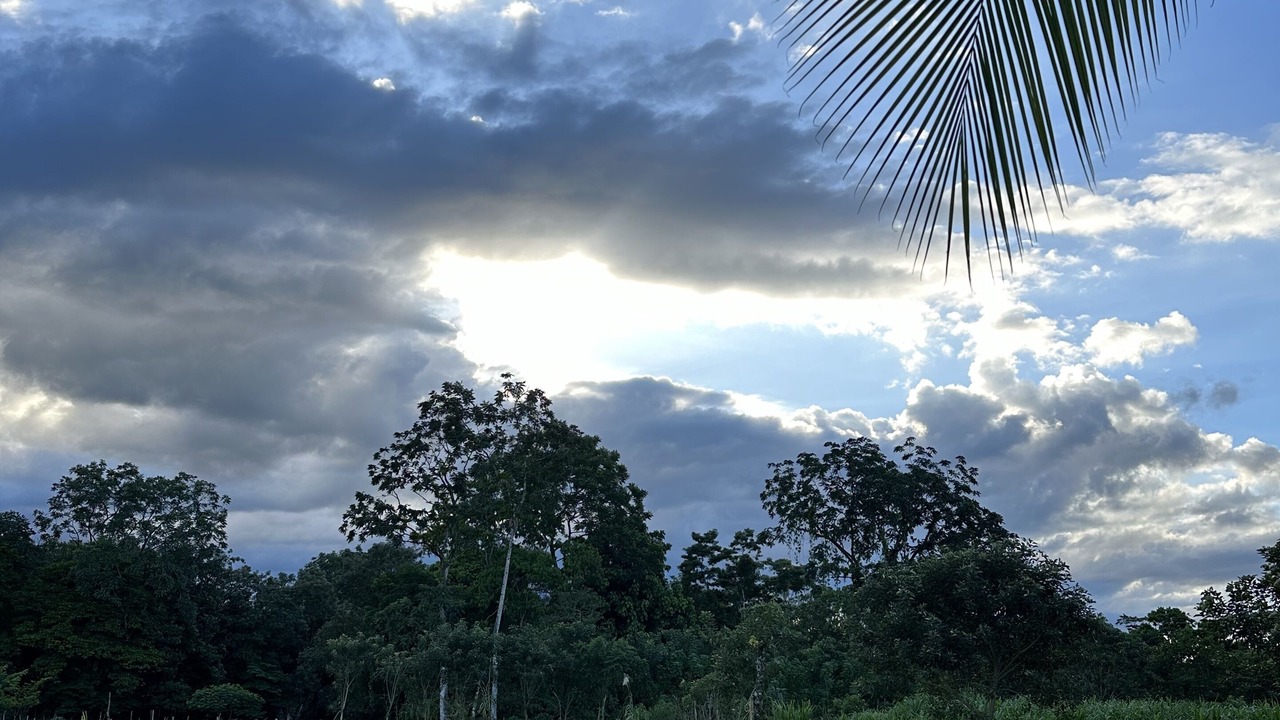 Photo of Outdoor in Penjamo