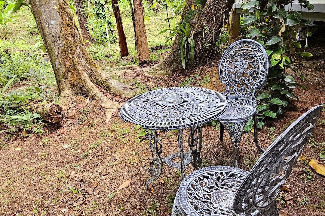 Photo of Outdoor in Cocles