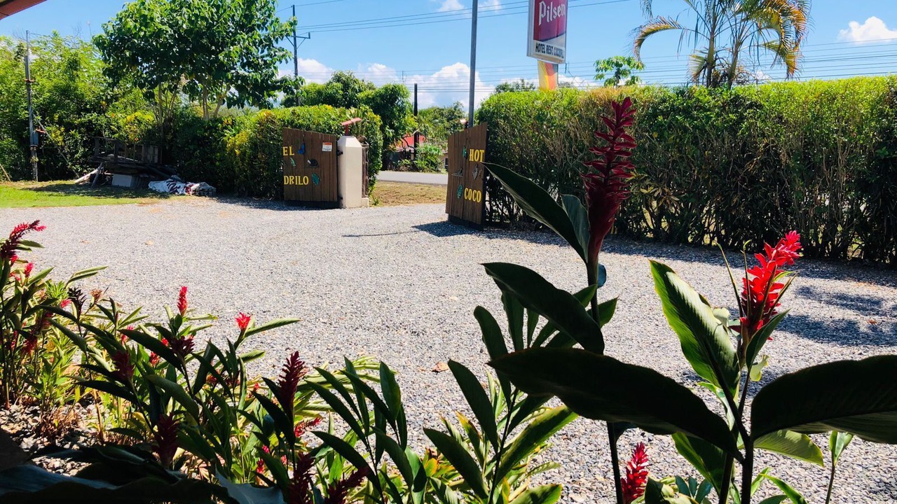 Photo of Outdoor in Sierpe