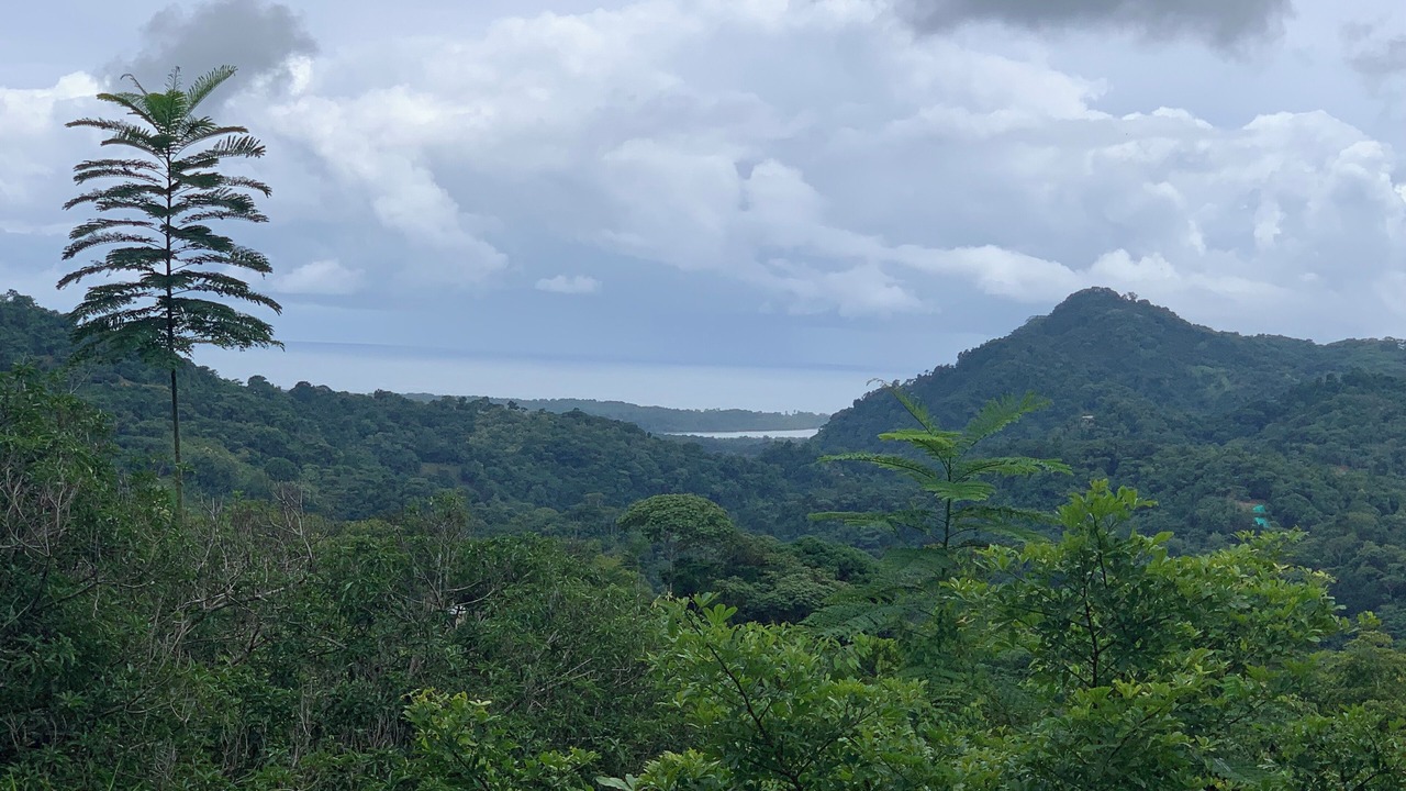 Photo of Others in Tres Rios