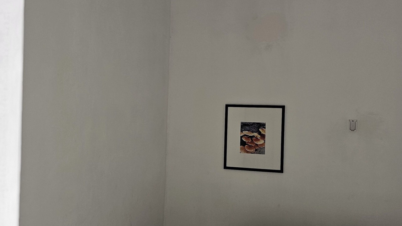 Photo of Bedroom in Tarcoles