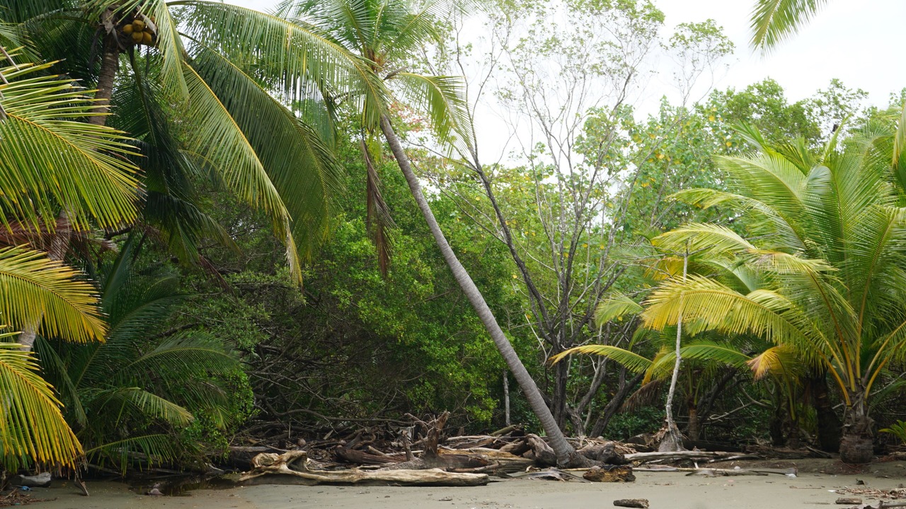 Photo of Others in Javilla