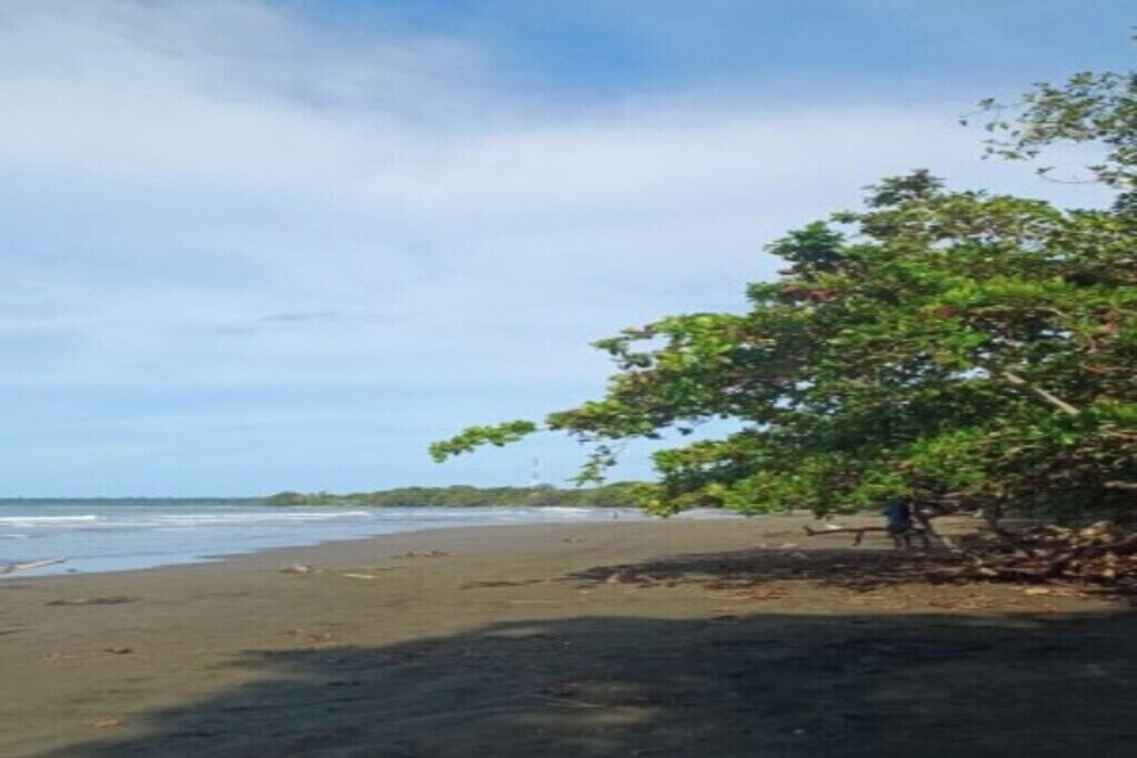 Photo of Others in Cahuita