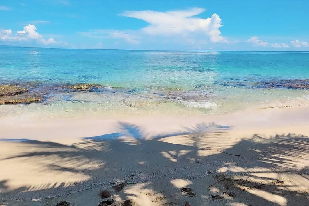 Photo of Others in Puerto Viejo de Talamanca