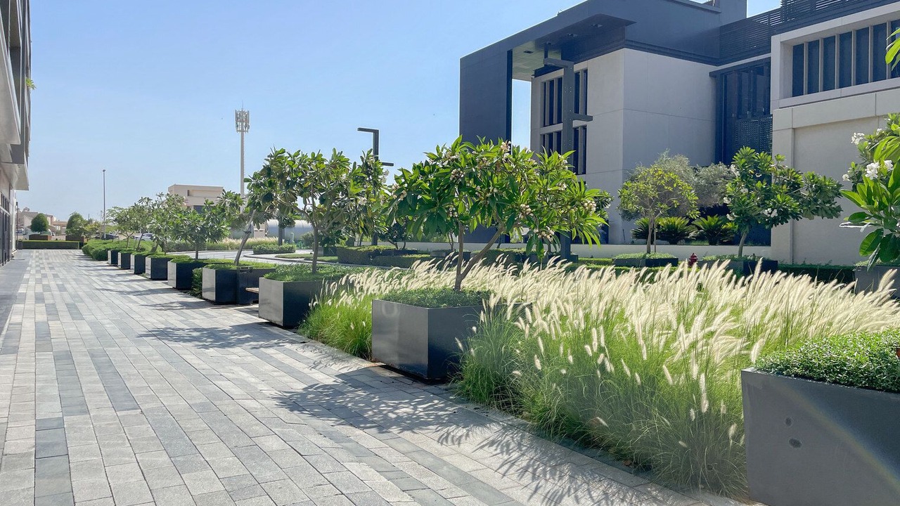 Photo of Outdoor in Al Wasl