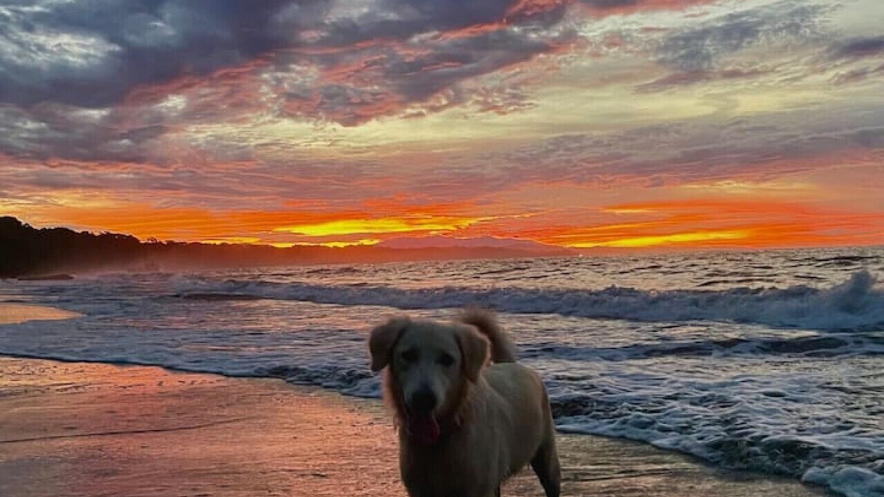 Photo of Others in Manzanillo