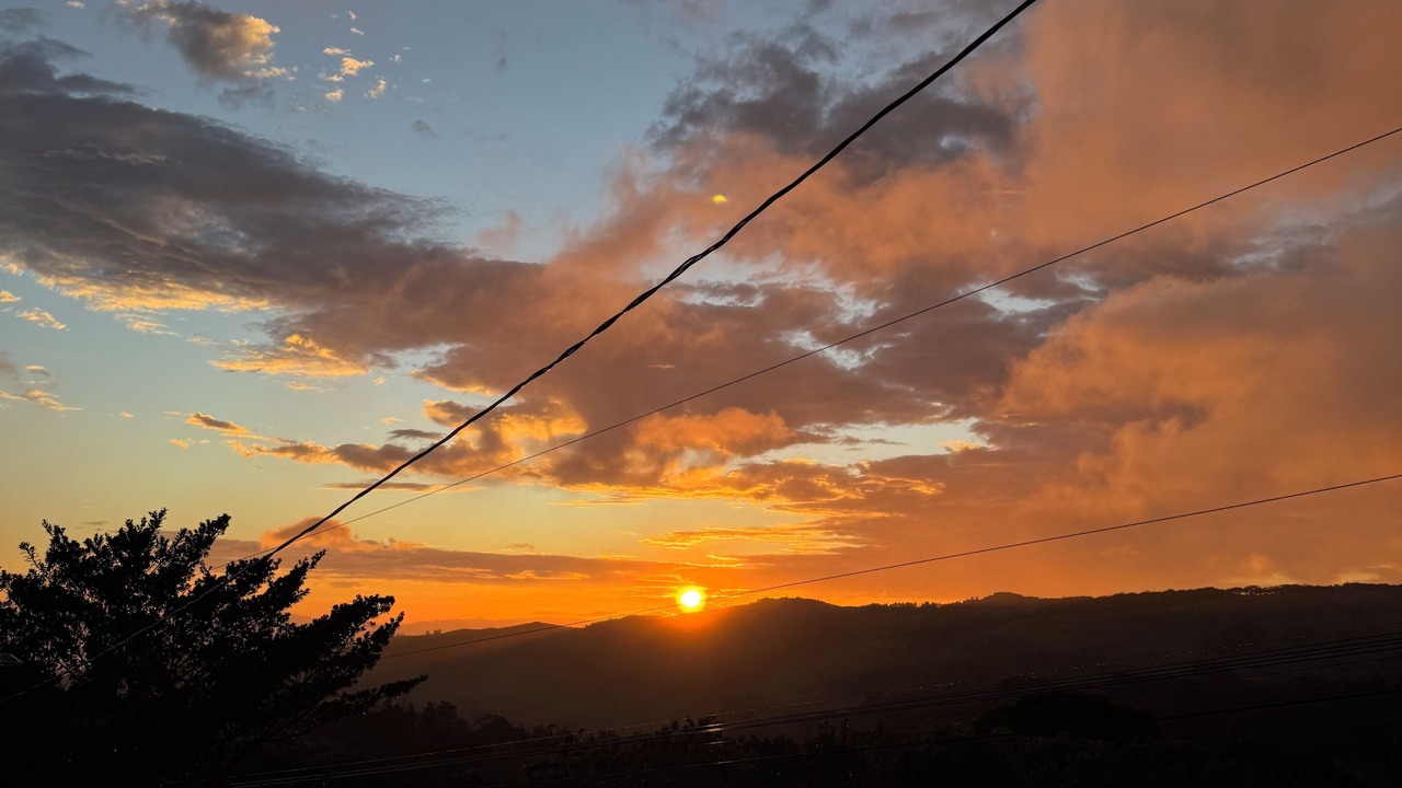 Photo of Others in Monteverde