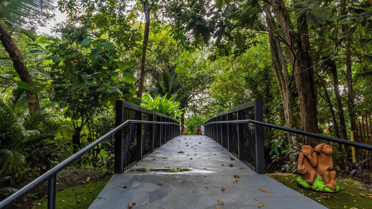 Photo of Outdoor in Bejuco