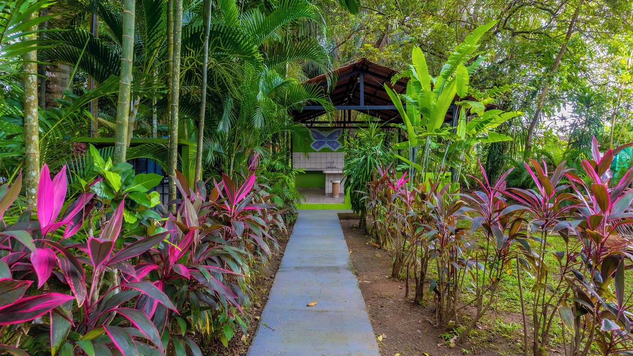 Photo of Outdoor in Bejuco