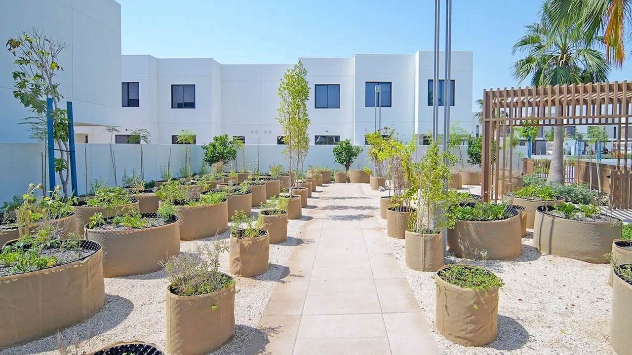 Photo of Outdoor in Abu Dhabi