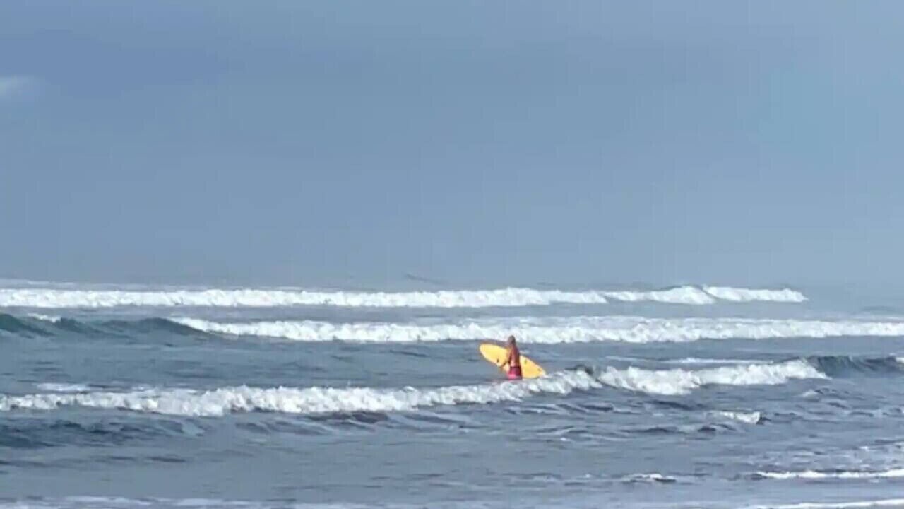 Photo of Others in Matapalo